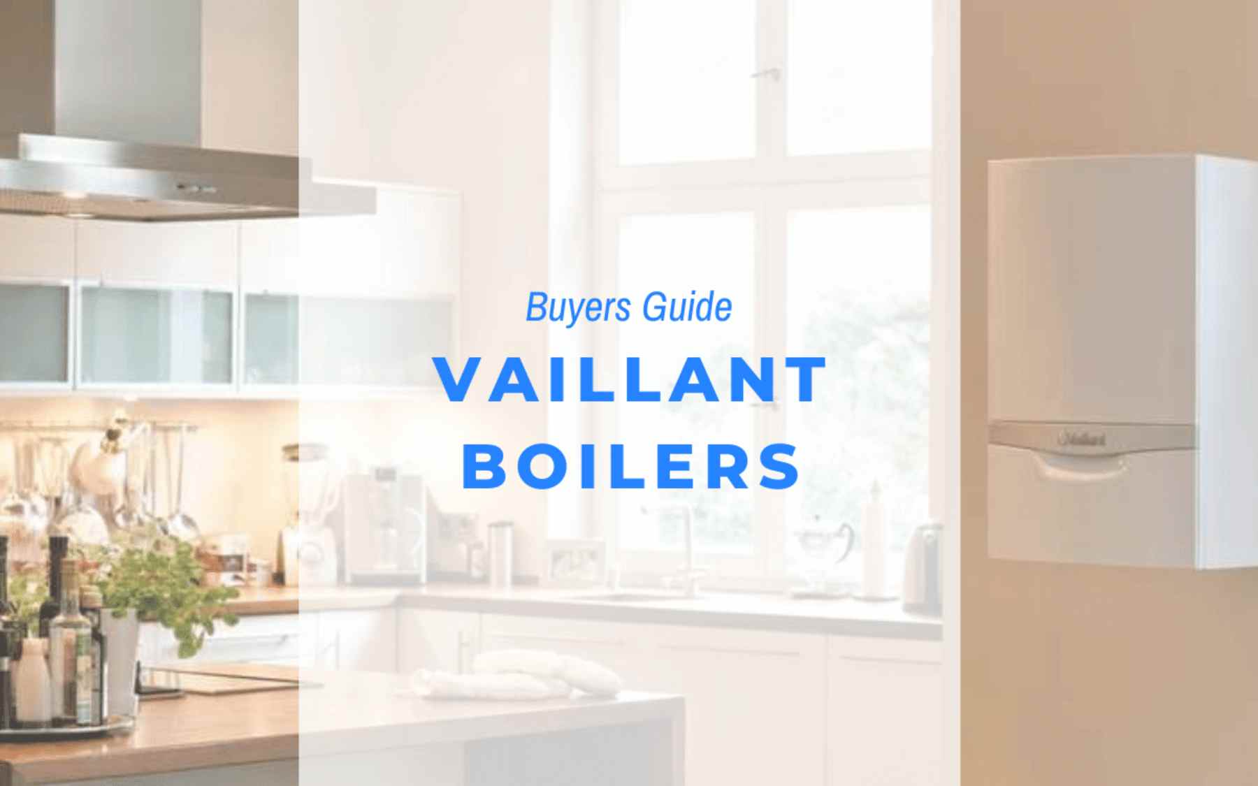 Vaillant Boiler Service